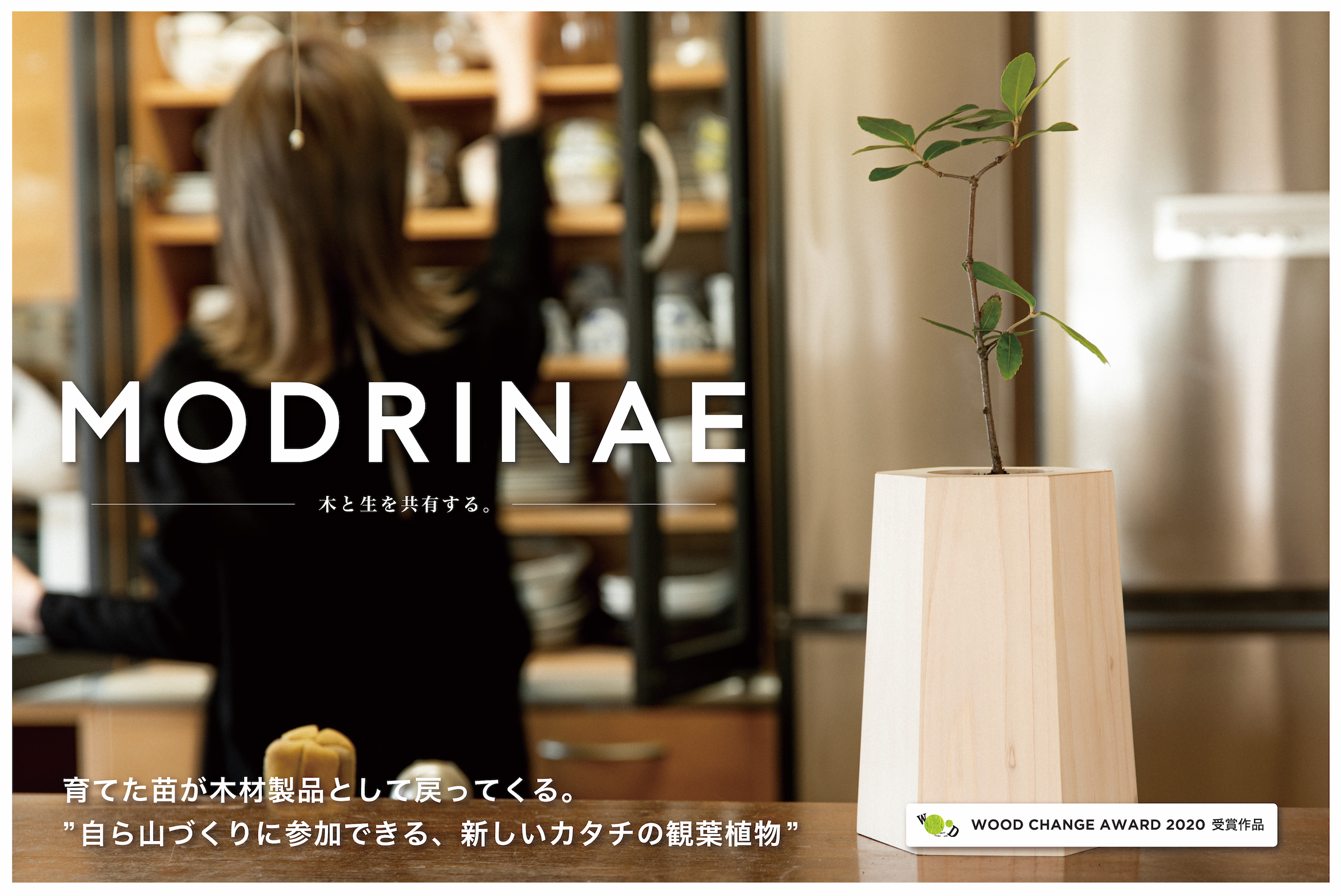 山づくりに参加できる 新しいカタチの観葉植物 Modrinae クラウドファンディングがスタート 100banchのプレスリリース