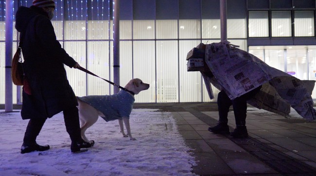 Lʐ^2022N1ɏHcHcsŎq{̗lq