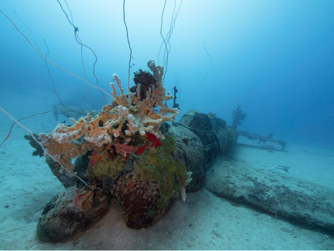 ビキニ環礁に眠る戦艦 長門 の現在 いま を撮影し 展示を Ocean Planetのプレスリリース