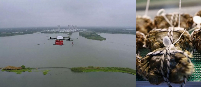 陽澄湖産の上海蟹を運ぶドローンと上海蟹に括り付けられたQRコード