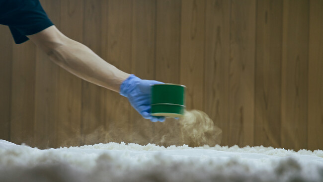日本酒の製造工程「種切り」。種麹を使って、蒸米に麹菌をふりかけて米麹をつくる。