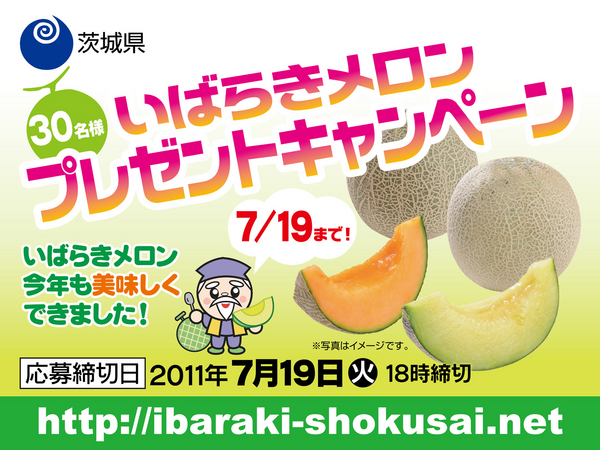 メロンの生産量日本一! 茨城県産　オトメメロン　3Lサイズ　4玉セット 茨城県より産地直送 JA水戸ひぬま オトメメロン 大玉の4Lから3L