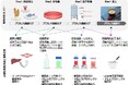 カルネット コンソーシアム、細胞農業に特化した日本発のオープンイノベーションプラットフォーム運用4年目の開発進捗の紹介