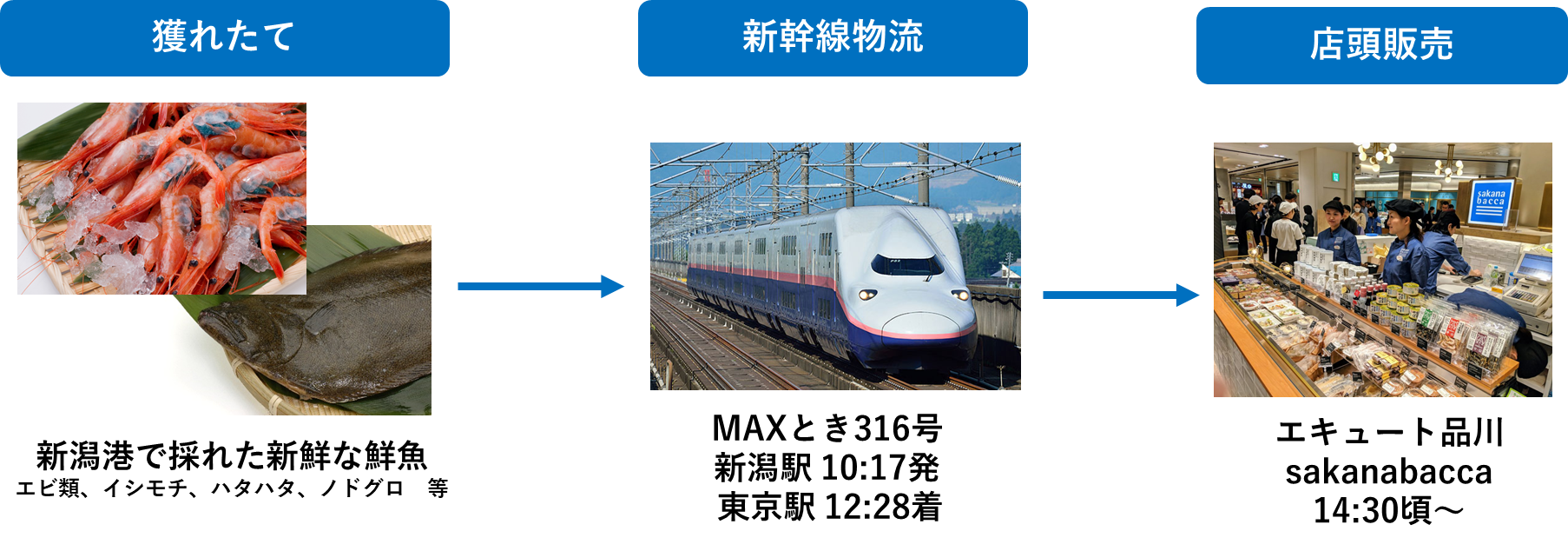 D34286 68 765771 0