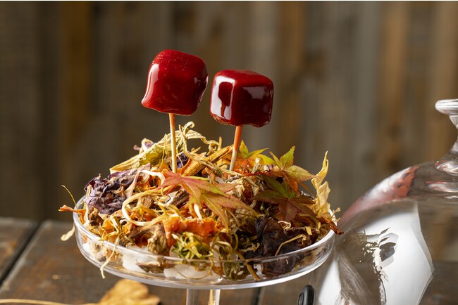 鴨肉のビーツボンボン