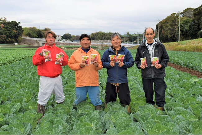 三浦市のキャベツ生産者 高清会の 4 名（左から鈴木健一氏、清水孝幸氏、加藤直樹氏、鈴木靖浩氏）