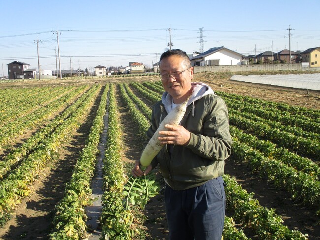 無農薬・無化学肥料栽培で深谷大根を育てる生産者の吉田旭さん