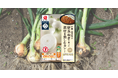 【石井食品】玉ねぎ配合率60％※1「千葉白子町の新玉ねぎを使った　素材を楽しむカレー」5月20日発売