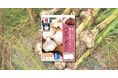 【石井食品】にんにくのイメージを覆す、甘みとまろやかなコク 「和歌山由良町の生にんにくを使ったハンバーグ トマトソース」6月21日（日）より全国発売