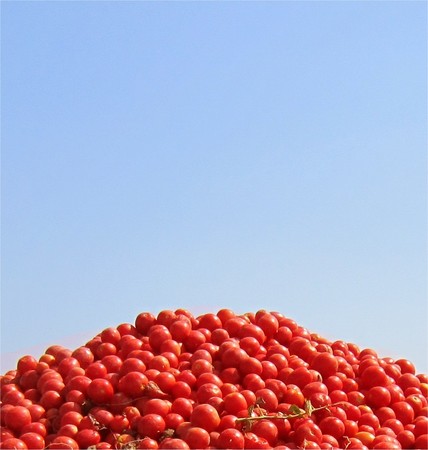 イタリア産オーガニックトマト