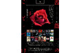 【Bankrobber LABO】グラフィックデザイナー 秋田和徳による『薔薇のことづけ -秋田和徳のデザイン-』2024年11月1日(金)より開催決定!