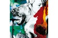 LOSALIOS（ロザリオス）の1st Album『世界地図は血の跡』がLP2枚組にて初アナログ化！2026年8月7日(金)予約受付開始！
