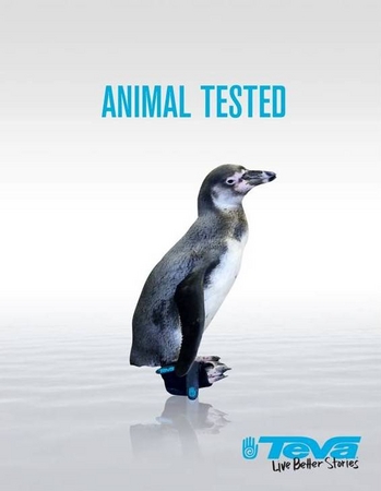 Tevaがペンギンとアスリート契約 Teva がサンタバーバラ動物園と協力し ペンギンを救うシューズを製作 Deckers Japan合同会社のプレスリリース