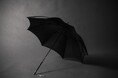 Yohji Yamamoto、伝統織物 甲州織の長傘を8月21日(金)より限定店舗にて展開