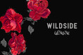 WILDSIDE YOHJI YAMAMOTOオリジナルラインより新作グラフィックTシャツを11月15日(水)に発売