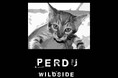 WILDSIDE YOHJI YAMAMOTOオリジナルラインより新作グラフィックTシャツを8月7日(水)に発売