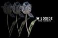 WILDSIDE YOHJI YAMAMOTO Original Collection、花刺繍を施した半袖シャツを6月 4日(水)に発売