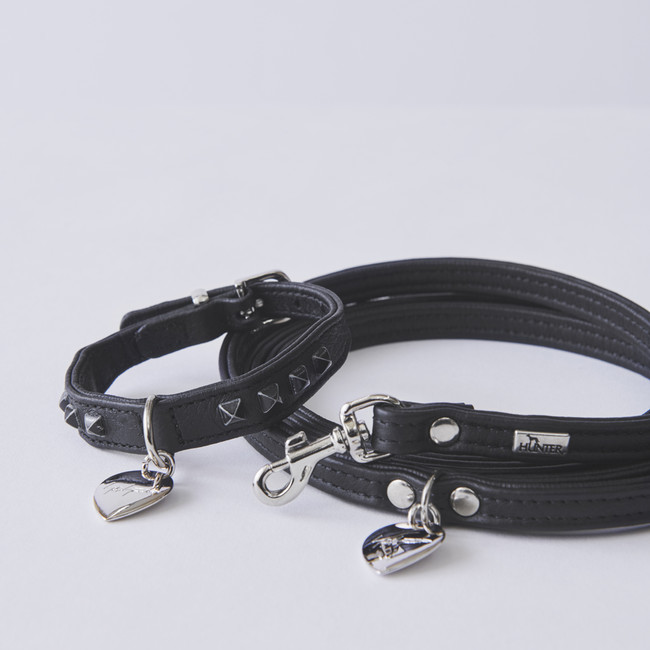 Dog collar Black Dog lead Black