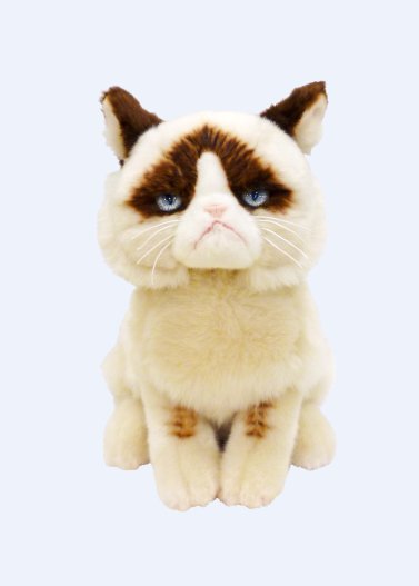 不機嫌すぎる表情が愛おしい！「ＧＵＮＤ」社製「Grumpy Cat