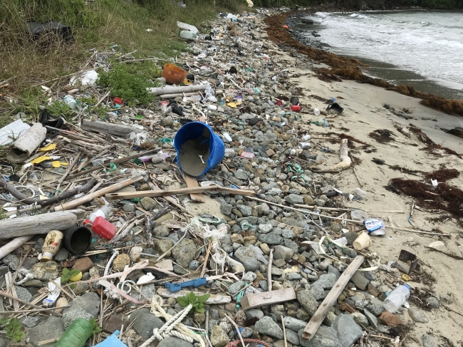 福津市恋の浦海岸