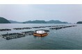 サステナブルな水産業の実現を目指す遠隔自動給餌システムの共同実証試験を開始