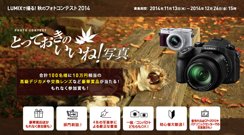 合計100名様に10万円相当の高級デジカメや交換レンズなど豪華賞品が 4k Photo部門も新設 Lumixで撮る 秋のフォトコンテスト2014開催 パナソニックのプレスリリース