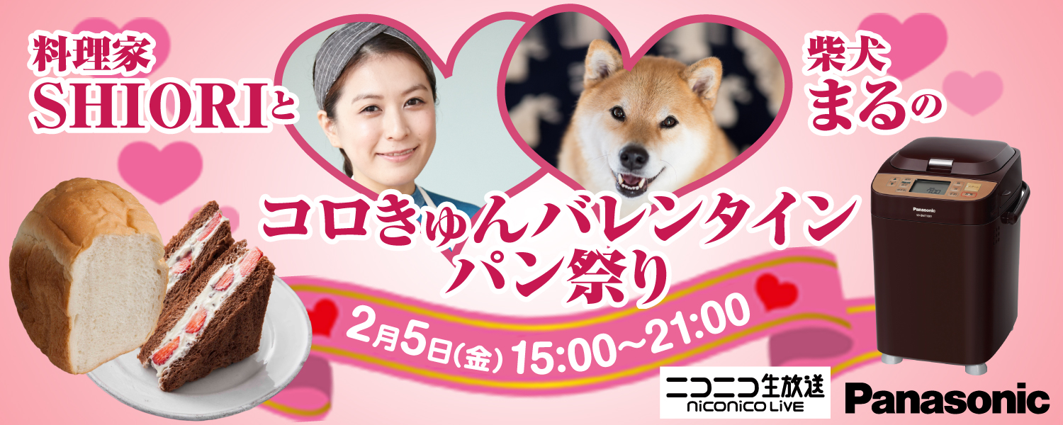 ニコニコ生放送 料理家shiori 柴犬まるがバレンタインのパンレシピを紹介 パナソニックのプレスリリース ニコニコ生放送 料理家shiori 柴犬まるがバレンタインのパンレシピを紹介 パナソニックのプレスリリース