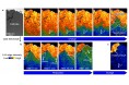 全固体電池の充放電中のリチウムイオンの動きをリアルタイムで観察する技術を開発 ~高性能な全固体電池の設計に貢献~
