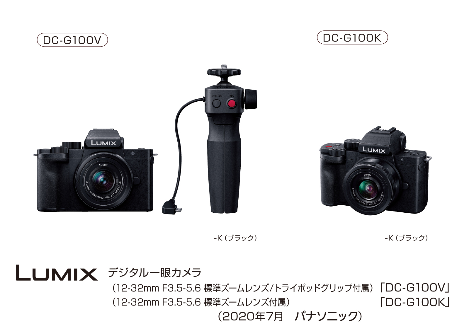 超ポイントアップ祭 LUMIX DC-G100V fawe.org