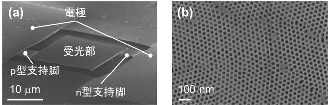 開発したフォノニック結晶が搭載された遠赤外線センサのSEM（※1）観察像