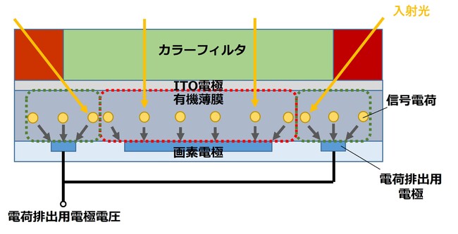 図6. 有機膜中の信号電荷