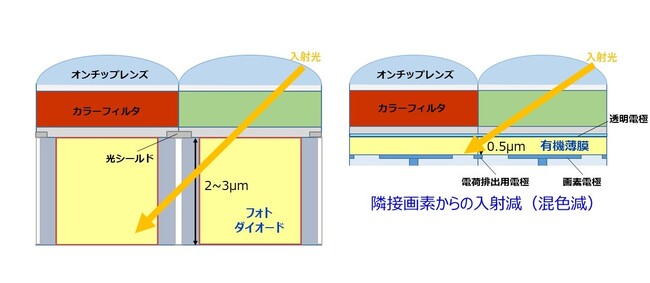 図5．斜入射光の影響比較（左：BSI型シリコンイメージセンサ、右：有機CMOSイメージセンサ）