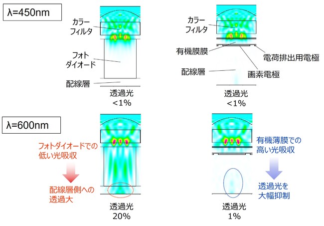 図7．画素断面 光強度シミュレーション結果（左：BSI型シリコンイメージセンサ、右：有機CMOSイメージセンサ）