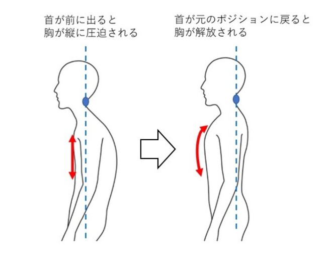 2022超人気 越後ふとん×ZEROGYM 脱力まくら ecousarecycling.com