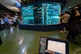 魚津市との地域協業で実現した水族館の新たな利活用。水族館でテレワーク!「魚(ウオ)ケーション」