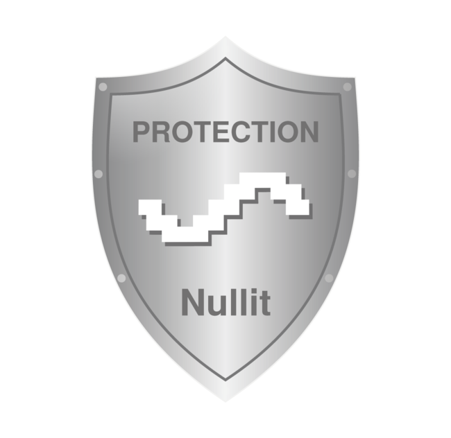 ホワイトハッカー集団Nullitのロゴ