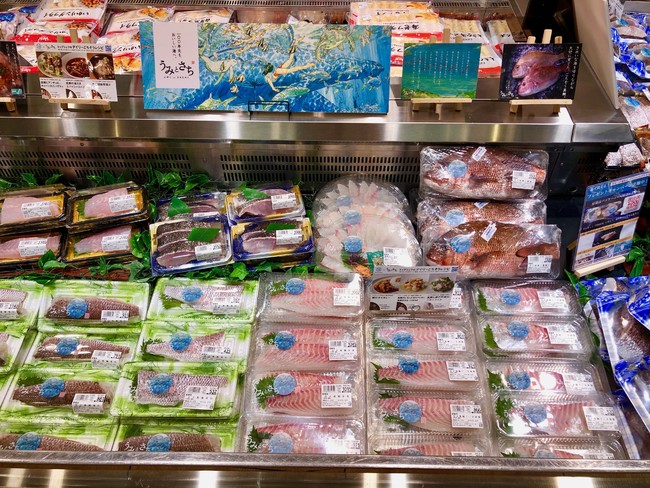 ヤオコー小田原店の鮮魚売り場に並ぶ「うみとさち」の真鯛・クエ