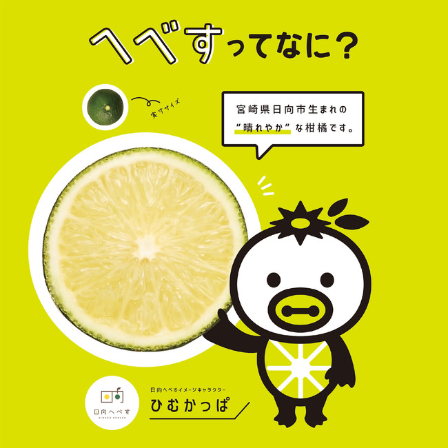 宮崎県日向市原産の幻の柑橘『へべす』を使った祝い菓子が、日本初のへ ...