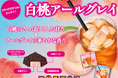 【季節限定】紅茶系チロルの最新作!さっぱりとした甘さと華やかな香り広がる♫「チロルチョコ〈白桃アールグレイ〉」新発売!