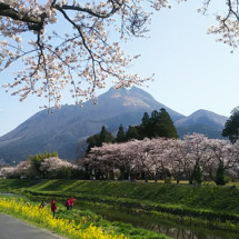 湯布院