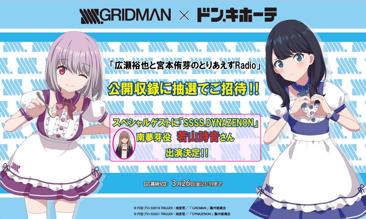 【メーカー直送】 SSSS.GRIDMAN ドンキホーテ コラボ 宝多六花 クリアファイル