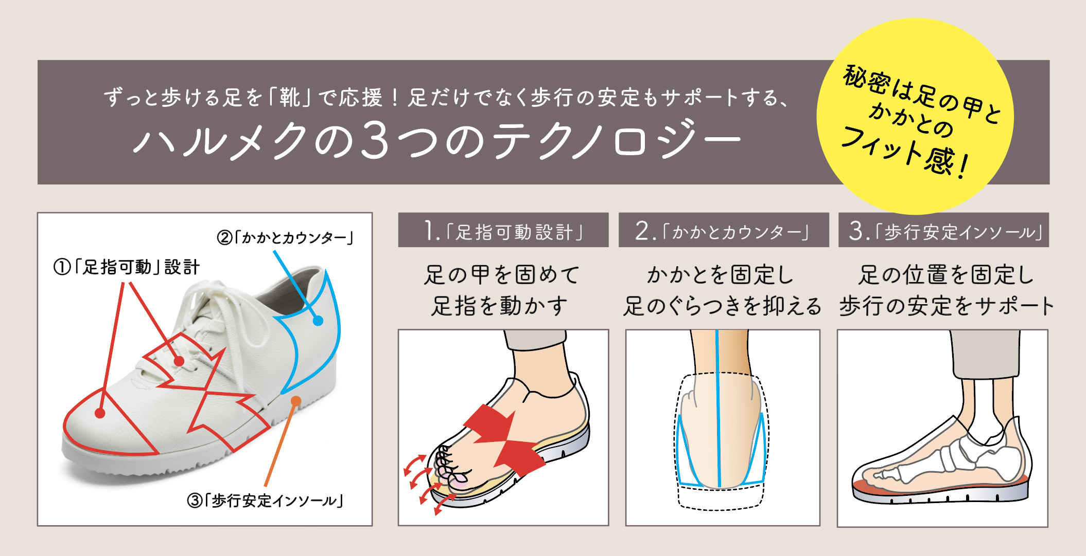 女性誌販売部数no 1 1 ハルメク からついに誕生 シニア向け靴専門店 ハルメク の靴 全国に続々オープン 株式会社ハルメクホールディングスのプレスリリース