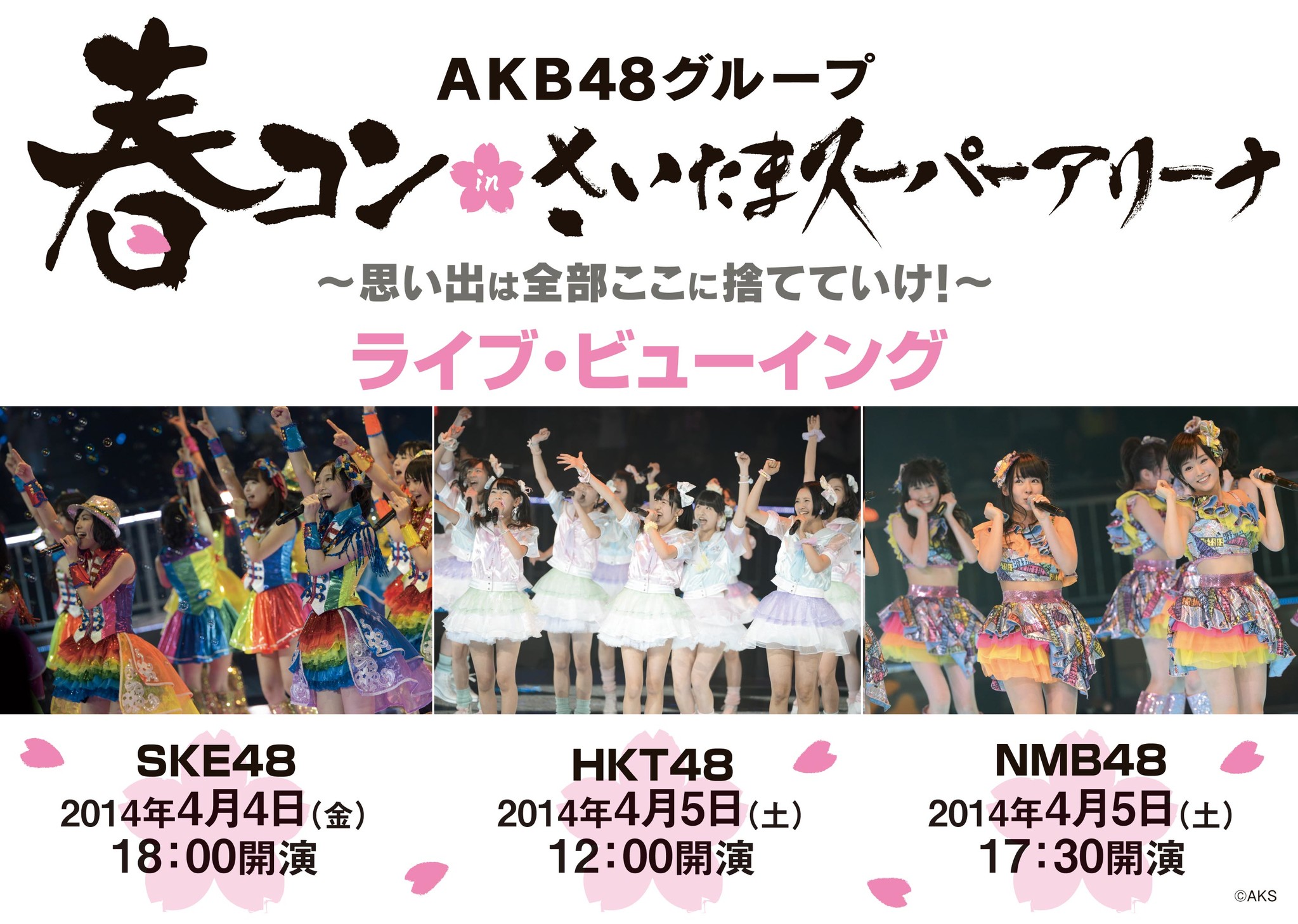 ＡＫＢ４８グループ春コン inさいたまスーパーアリーナ～思い出は全部