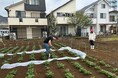 自社運営の「鎌田圃場」で今季の栽培が本格化!ジャガイモからスタート
