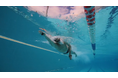 競泳界にもたらされたデータ革命 "eo SwimBETTER" 開発からのドキュメンタリームービーを公開!