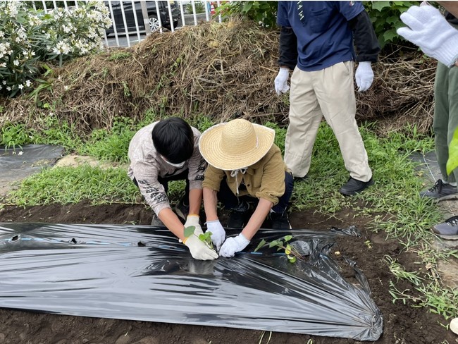 苗植えで「そよ風」のお客様を優しくサポートする「埼玉武蔵ヒートベアーズ」の選手