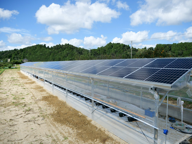 太陽光発電システム搭載 次世代農業用ソーラーハウス 完成 千葉県睦沢町に建設 株式会社チェンジ ザ ワールドのプレスリリース