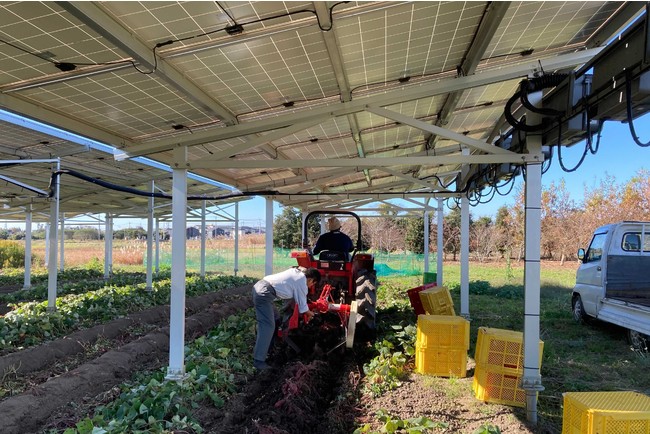 ソーラーシェアリングの農作業風景