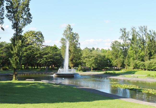 カフェのテラス席から見える水辺と噴水の景観（彩の森入間公園）