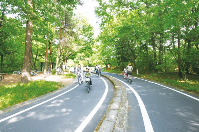 国営武蔵丘陵森林公園「サイクリング」
